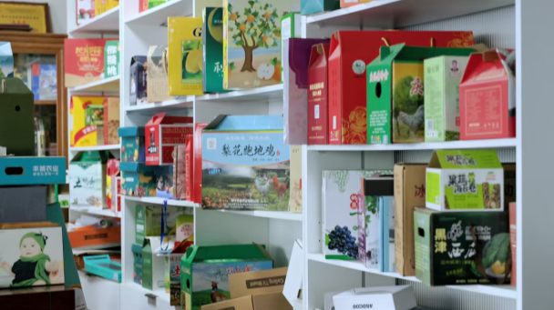 7232a6ec-7470-4fe4-9c9f-7f21e1a3b124.png